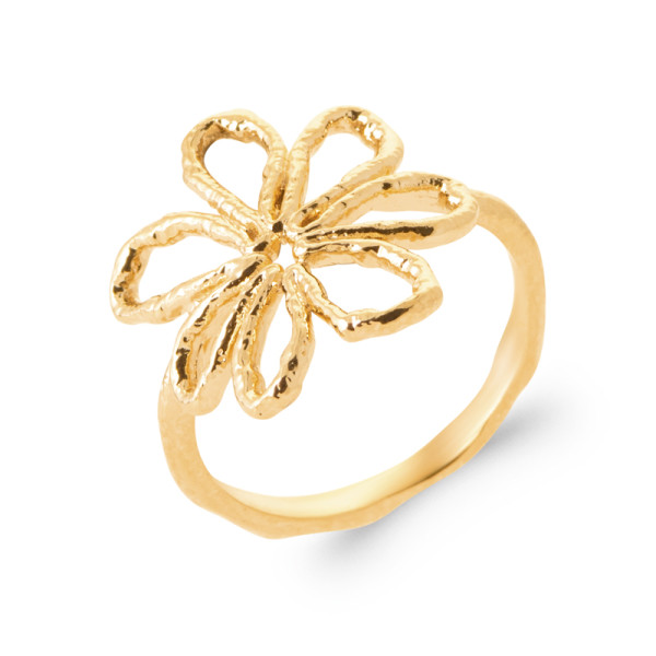 Bague plaqué Or 750 